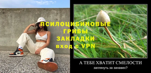 стафф Медногорск