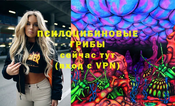 стафф Медногорск