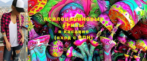 стафф Медногорск