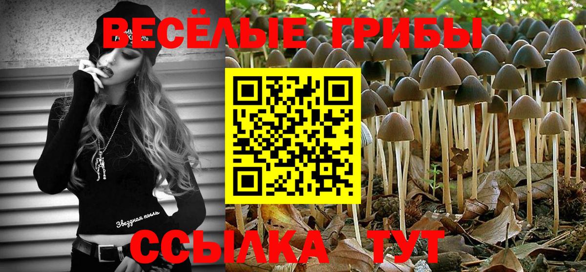 Псилоцибиновые грибы мицелий  Галлюциногенные грибы ЛСД  Кировск 