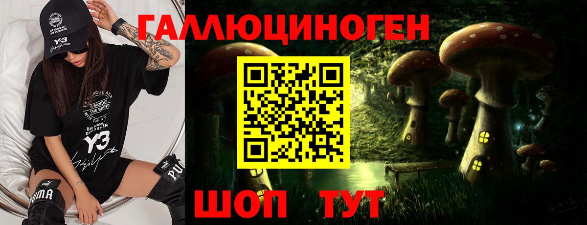 Кировск  Галлюциногенные грибы GOLDEN TEACHER  Псилоцибиновые грибы Magic Shrooms  Вход с VPN 